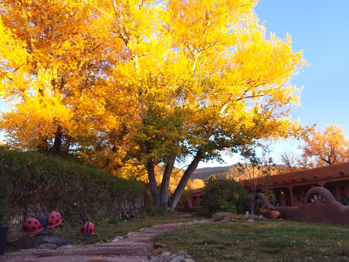 Inn On The Rio Taos Eksteriør billede