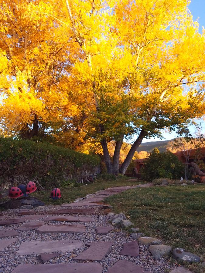 Inn On The Rio Taos Eksteriør billede